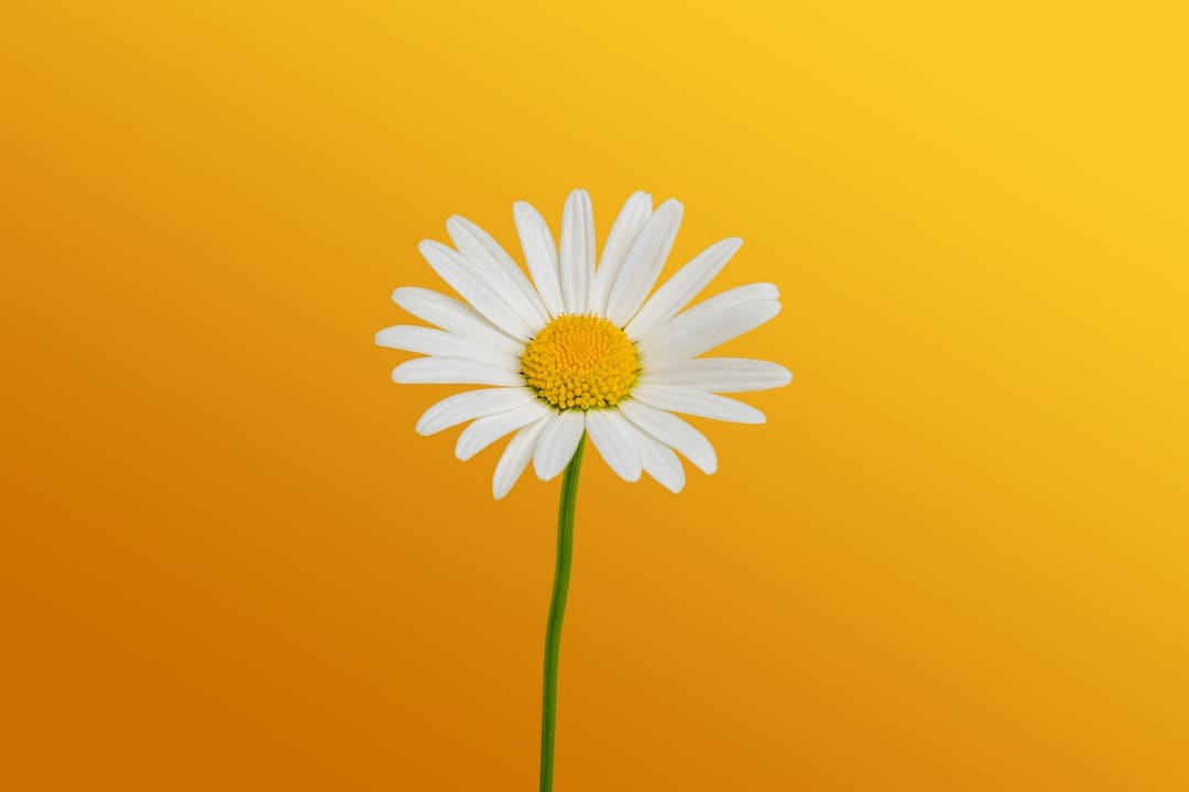 http://n.sinaimg.cn/news/transform/w600h400/20180311/p0QE-fxpwyhw8986838.jpg?zdy